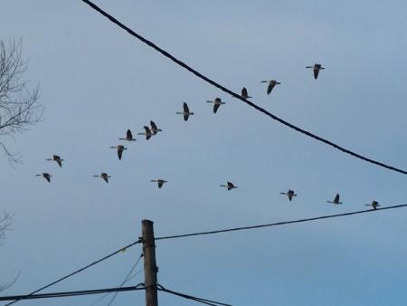 gallery_7606_1741_5955.jpg
