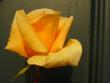 tn_gallery_12789_3020_64089.jpg
