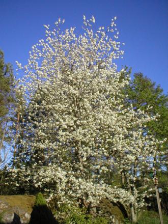 gallery_21705_3268_205582.jpg