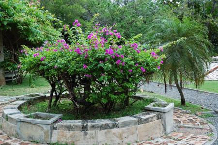 gallery_4207_3278_51669.jpg