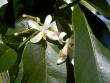 tn_gallery_3363_829_86502.jpg