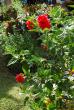 tn_gallery_4207_3278_127686.jpg