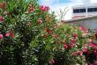 tn_gallery_4207_3278_19090.jpg