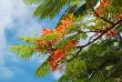 tn_gallery_4207_3278_222314.jpg