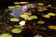 tn_gallery_4207_3278_51019.jpg