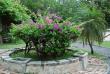tn_gallery_4207_3278_51669.jpg
