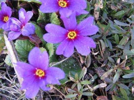 gallery_5956_3280_19370.jpg