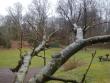 tn_gallery_22122_3287_126174.jpg