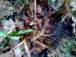 tn_gallery_22122_3287_128828.jpg