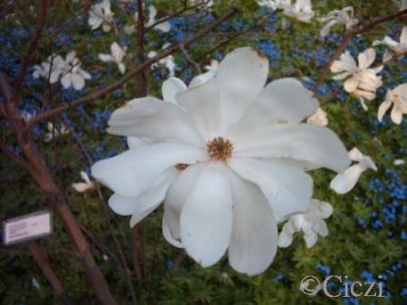 gallery_4113_1839_23285.jpg