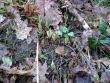 tn_gallery_22122_3287_324843.jpg
