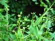 tn_gallery_4113_1839_17414.jpg