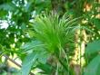 tn_gallery_4113_1839_35223.jpg