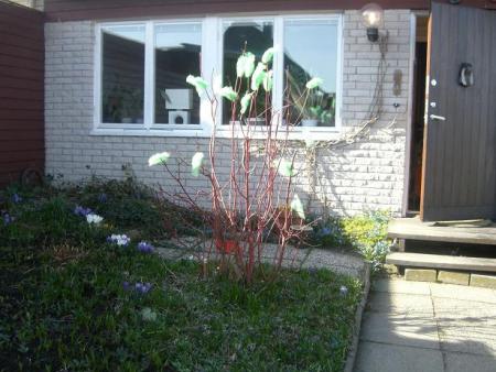 gallery_22221_3300_38744.jpg