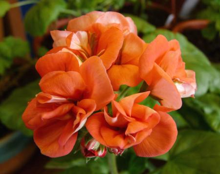 gallery_5783_3318_7901.jpg