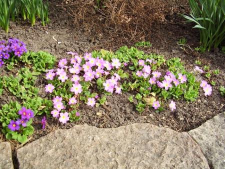 gallery_19305_2975_348649.jpg