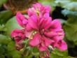 tn_gallery_5783_3324_43555.jpg