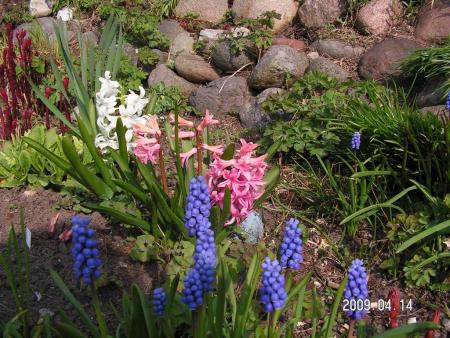 gallery_1786_3261_163158.jpg