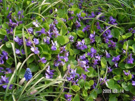 gallery_1786_3261_219384.jpg