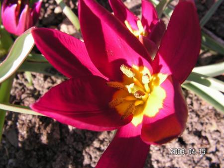 gallery_1786_3261_24629.jpg
