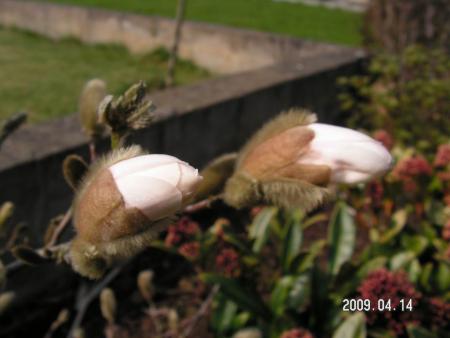 gallery_1786_3261_27096.jpg