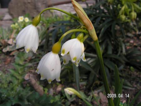 gallery_1786_3261_27646.jpg
