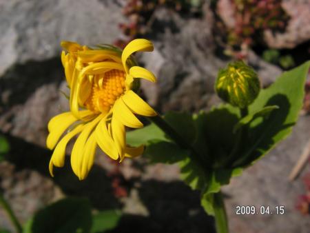 gallery_1786_3261_38954.jpg