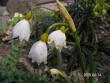 tn_gallery_1786_3261_27646.jpg