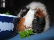tn_gallery_2529_1144_17546.jpg