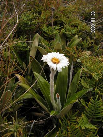 gallery_1786_3222_71804.jpg