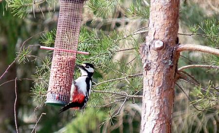 gallery_5783_2273_67676.jpg