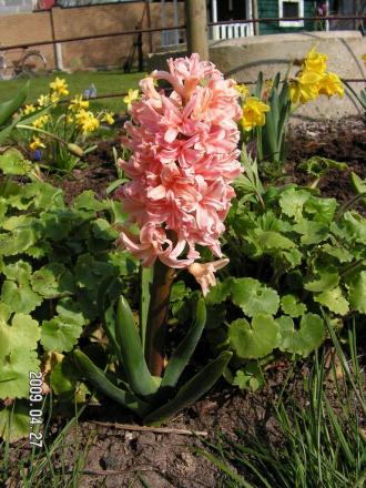 gallery_1786_2895_109226.jpg