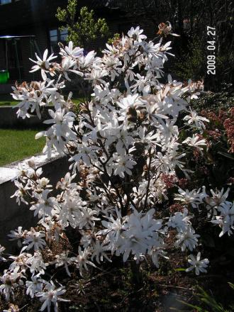 gallery_1786_2895_135176.jpg