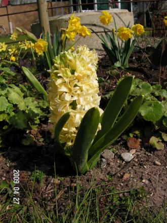 gallery_1786_2895_30812.jpg