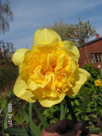 gallery_1786_2895_60265.jpg