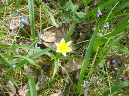 gallery_22761_3371_105100.jpg