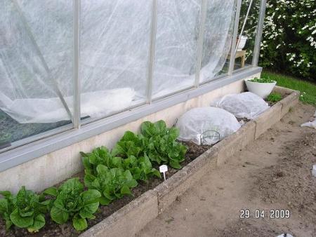 gallery_5587_3152_32395.jpg