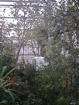 gallery_19987_3378_118516.jpg