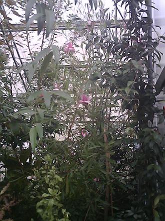 gallery_19987_3378_122264.jpg