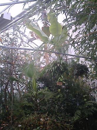 gallery_19987_3378_123265.jpg
