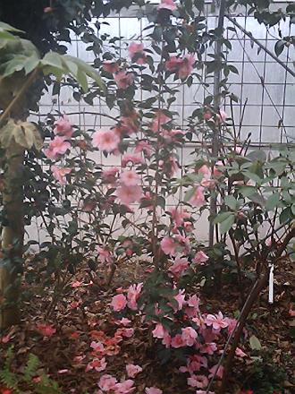 gallery_19987_3378_12984.jpg