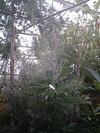 gallery_19987_3378_17222.jpg