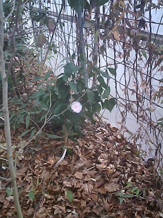gallery_19987_3378_24244.jpg
