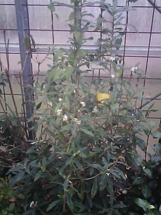 gallery_19987_3378_46186.jpg