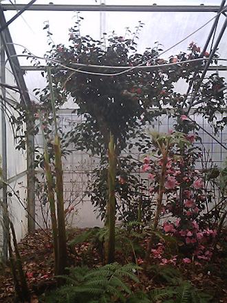 gallery_19987_3378_53419.jpg