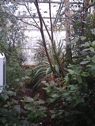 gallery_19987_3378_54562.jpg