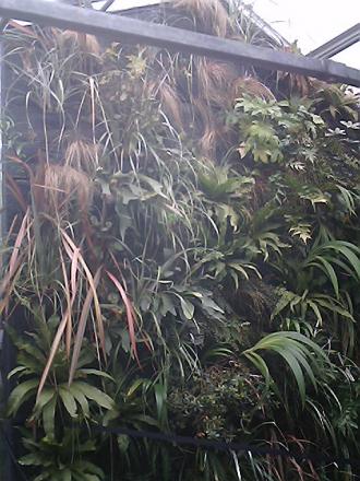 gallery_19987_3378_64018.jpg