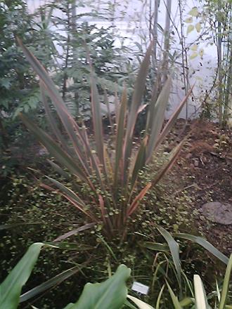 gallery_19987_3378_68660.jpg