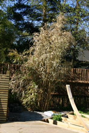 gallery_2441_3379_67015.jpg