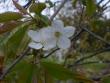 tn_gallery_22761_3371_9485.jpg